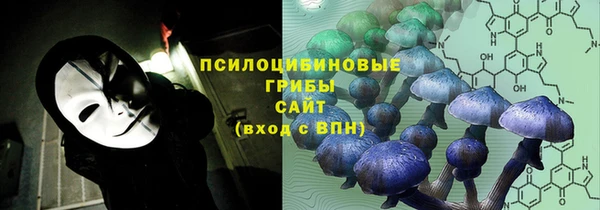 МДПВ Бородино