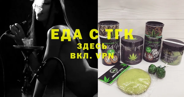 МДПВ Бородино