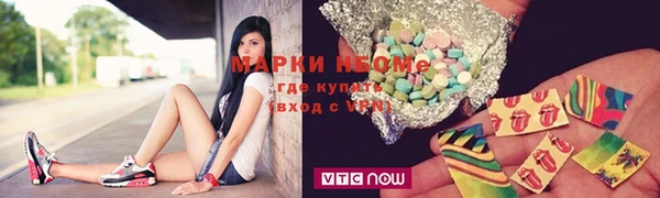 МДПВ Бородино
