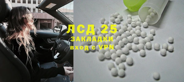 МДПВ Бородино