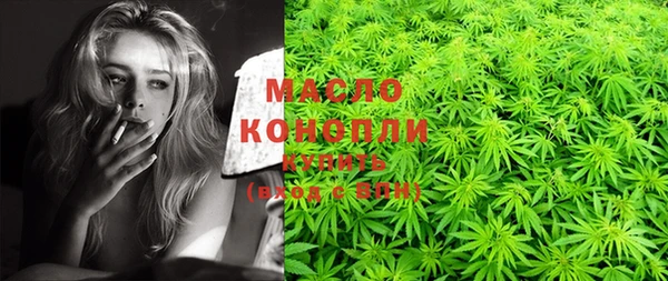 МДПВ Бородино