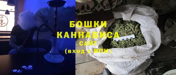 МДПВ Бородино