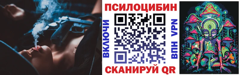 купить   кракен сайт  Псилоцибиновые грибы Magic Shrooms  Шимановск 